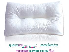 ขาย หมอนสุขภาพ Healthpilw Pillow C - Ergonomic Support Pillow Plus
