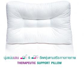 ขาย หมอนสุขภาพ Healthpilw Pillow B - Therapeutic Support Pillow