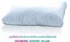 ขาย Healthpilw Pillow F - Ergonomic Support Pillow