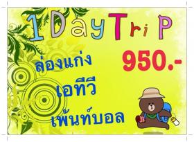 แพ็คเกจ 1 DayTrip