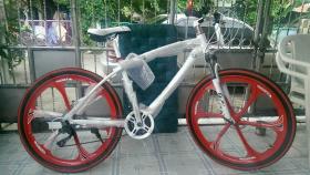 Mountain Bike G4 Leopard