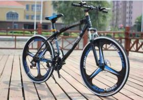  Pre-Order Bike  G4 Series Leopard Slim  X6 Series ® Leopard Slim