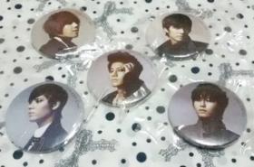เข็มกลัด SS501 (REBIRTH) ทั้ง Set 