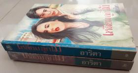 เหลี่ยมลูกไม้ เล่ม 1, 2 (2 เล่มจบ)