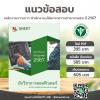 SHEET STORE แนวข้อสอบ นักวิชาการคอมพิวเตอร์ 2567