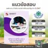 SHEET STORE แนวข้อสอบ นักจัดการงานทั่วไป ระดับ 3 2567