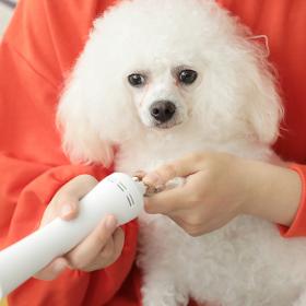  CC PET ที่กรอเล็บสัตว์เลี้ยง  ใช้แทนการตัดเล็บไม่เจ็บ  (เพ็ทพริตตี้ บางเขน)