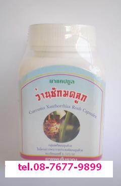 ว่านชักมดลูกกระชับช่องคลอด กำจัดกลิ่นอับ เชื้อรา ขับเลือดเสีย ตกขาว