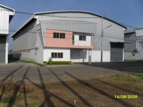 ขาย Warehouse for rent -