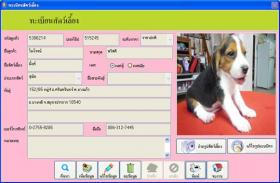 โปรแกรม คลินิกสัตว์เลี้ยง / สถานพยาบาลสัตว์เลี้ยง / โรงพยาบาลสัตว์ / ร้านขายของสัตว์เลี้ยง