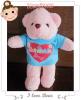 น้องหมีใส่เสื้อสกรีน เป็นกำลังใจให้นะ