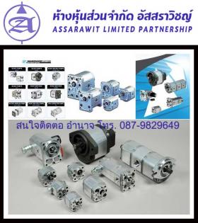 จำหน่ายเกียร์ปั้มและเกียร์มอเตอร์ไฮดรอลิก  (HYDRAULIC) ยี่ห้อ marzocchi,MARCCHOZI 