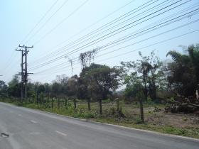 ที่ดินเปล่า เชียงใหม่ ทำเลดี ราคาถูก