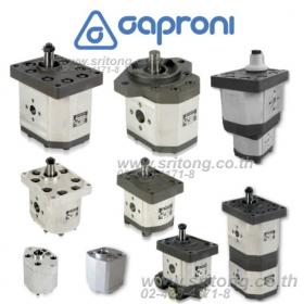 ขาย เกียร์ปั๊มไฮดรอลิก Caproni ไฮดรอลิค (Hydraulic Gear Pump) ไฮโดรลิค ไฮโดรลิก