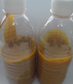 Palm Acid Oil : PAO : Palm Sludge Oil น้ำมันปาล์มกรดสูง