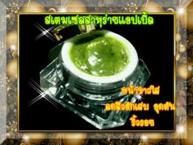 ครีมสเตมเซลสาหร่ายแอปเปิ้ล