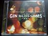 Gin Blossoms - Congratulations… I'm Sorry CD