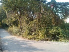 ขายด่วน !!!!! ที่ดินเปล่า ขนาด 170 ตร.ว. ติดถ.อยุธยา บางปะอิน (ที่สวยมาก)