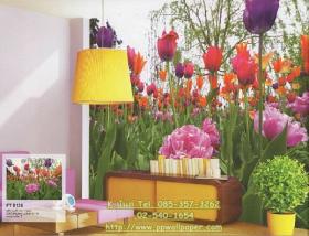 ขาย PPWALL photomurals033
