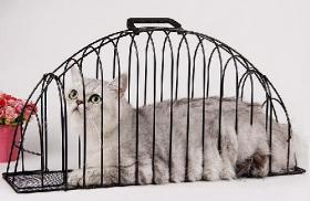 กรงอาบน้ำแมว ขนาดเล็ก รุ่น 2 ประตู พร้อมส่ง ขนาด 12x45x24.5cm น้ำหนัก 0-2 kg