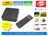 MXQ - Android TV box (แอนดรอยด์ ทีวี บ็อกซ์)