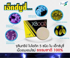 เม็ดอมเอ็กซ์บูซี่ แก้เมาค้าง แก้แฮงค์ "XBoozi" นวัตกรรมเอนไซม์ธรรมชาติ