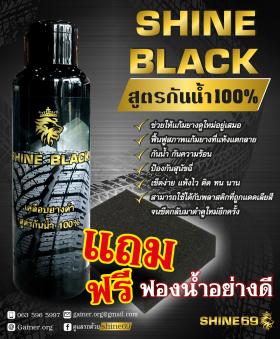 ผลิตภัณฑ์เคลือบยางดำกันน้ำ 100% Shine BLACK