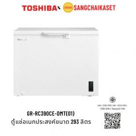 ขาย TOSHIBA GR-RC390CE-DMT(01)