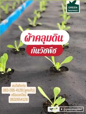 ผ้าคลุมดินกันวัชพืช