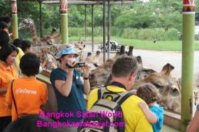 ขาย Safari World fULL Day Tour