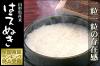 Japanese rice (御飯) Sasanishiki