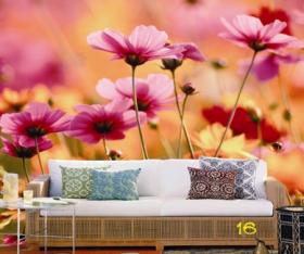 ขาย wallpaper spacial