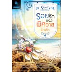 รอยรักแรงพิศวาส (99.5%)/ ฟ้าแก้ว