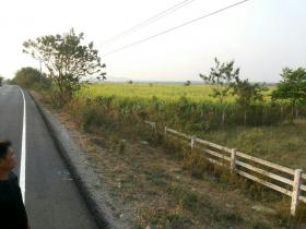 ที่ดินโฉนดทำเลทอง ต.แสลงพัน อ.วังม่วง 550 ไร่(มวกเหล็กสวนมะเดื่อ)