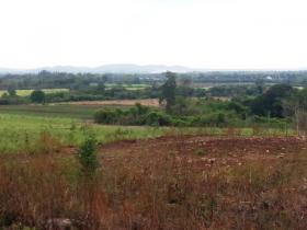 ที่ดินทำเลศักยภาพเขื่อนป่าสัก อ.วังม่วง จ.สระบุรี โฉนด 1169 ไร่