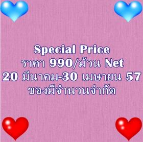 ขาย PPWALL MORE TIME 046