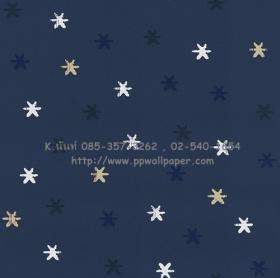 ขาย PPWALL Kids 060