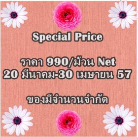 ขาย PPWALL TIMELESS 060