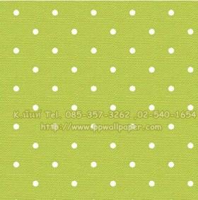 ขาย PPWALL HI SO 2-008