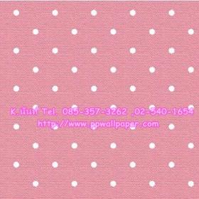 ขาย PPWALL HI SO 2-007