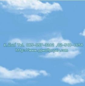 ขาย PPWALL HI SO 2-001