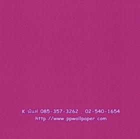 ขาย PPWALL Kids 004