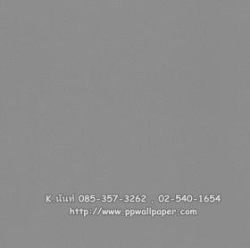 ขาย PPWALL Kids 002
