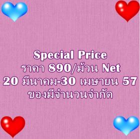 ขาย PPWALL SU-B 046