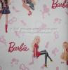 PPWALL BARBIE 023