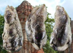 ขาย พระถ้ำเสือ (Tum Sua) กรุเก่า