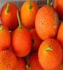 UmaGacfruit อุมา สมุนไพรฟักข้าว