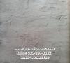 PPWALL CLASSICO 015