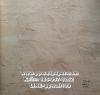 PPWALL CLASSICO 018