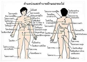 อยากเอาไฝออก ไฝบนใบหน้า ติ่งเนื้อ กระ ทำนายลักษณะไฝ ตำแหน่งไฝ